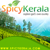 Spicy Kerala - explore god's own country